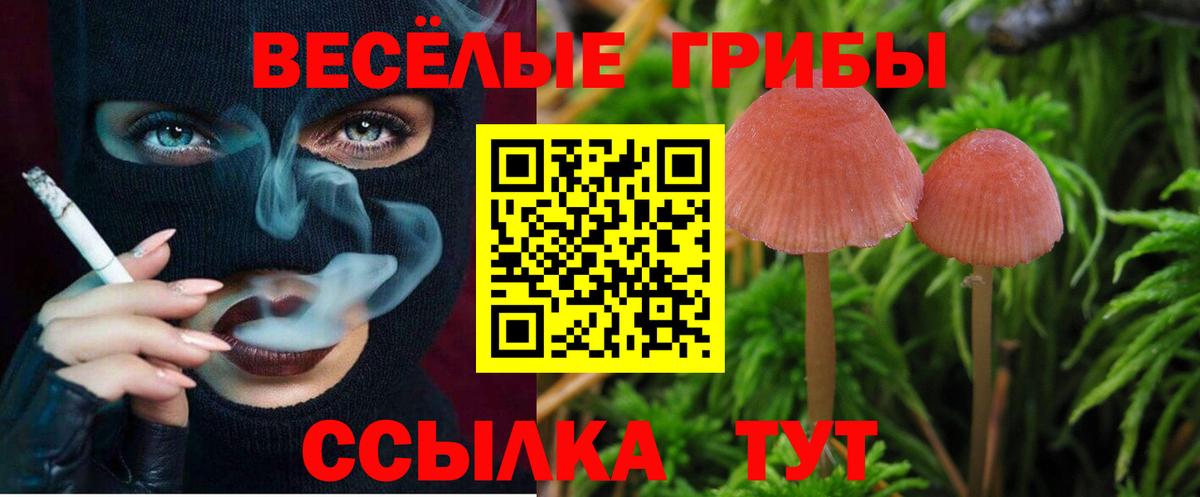 Галлюциногенные грибы MAGIC MUSHROOMS  продажа наркотиков  Богородицк  Псилоцибиновые грибы Magic Shrooms  Вход с VPN 